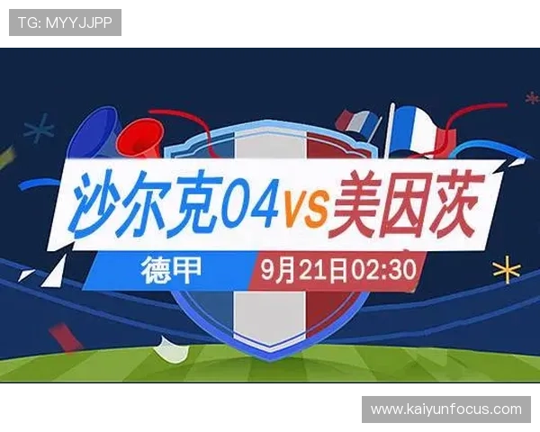德甲赛程分析与精准投注技巧全攻略分享